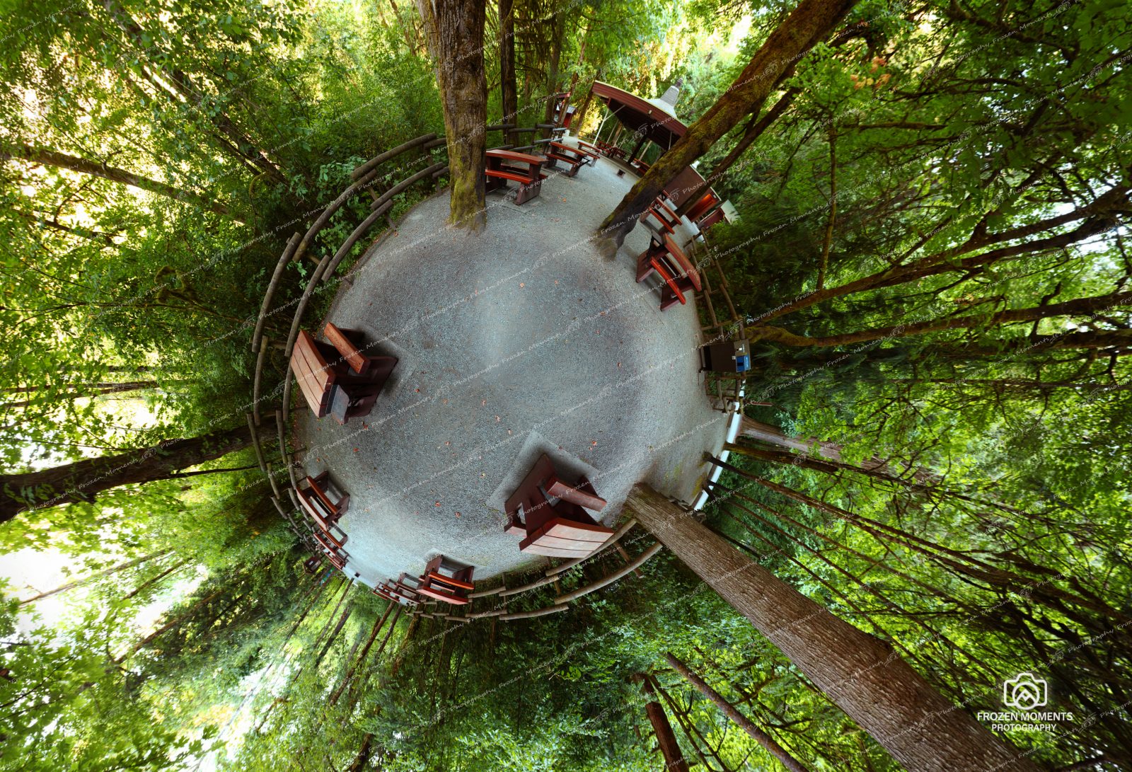 Goldstream 360 Panoramic