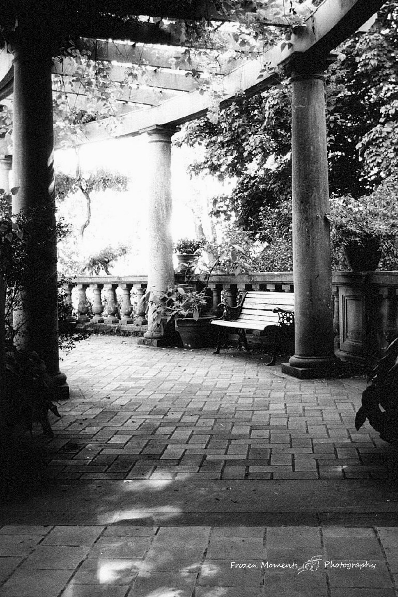 Italian Garden