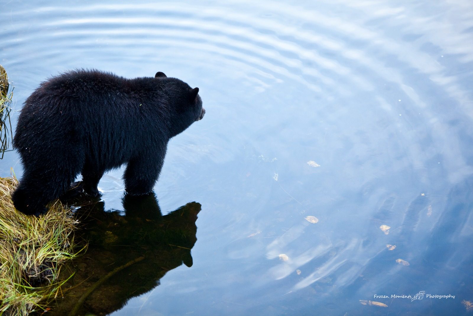 Reflecting