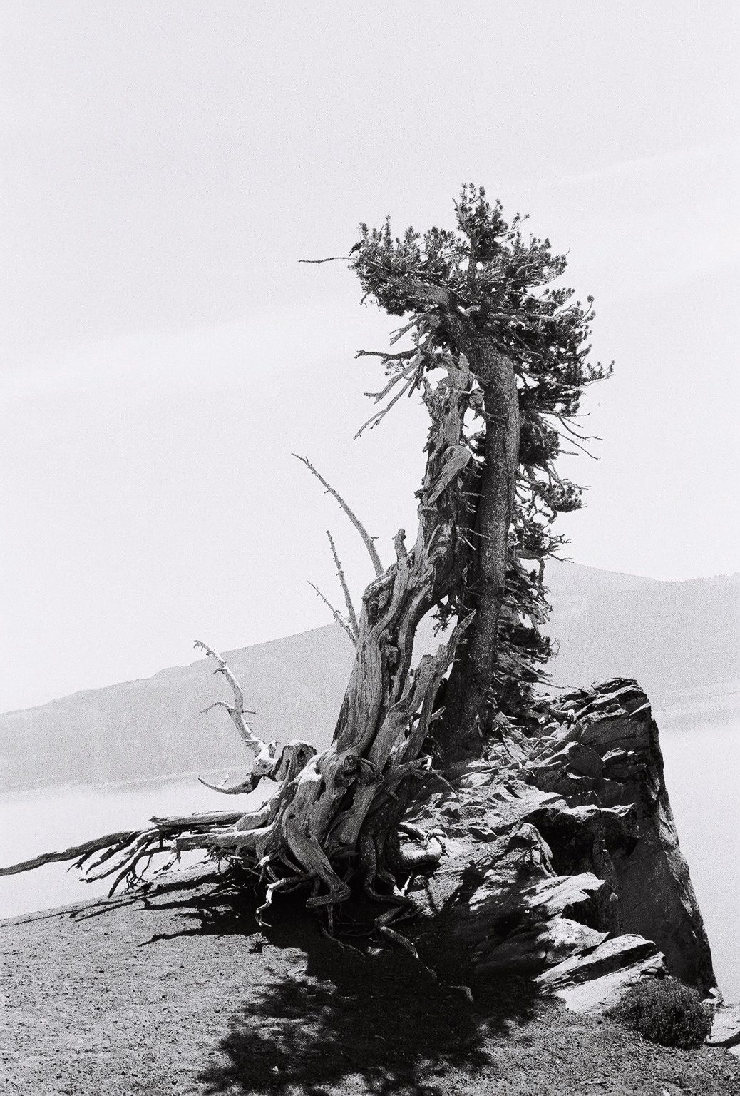 Crater Lake