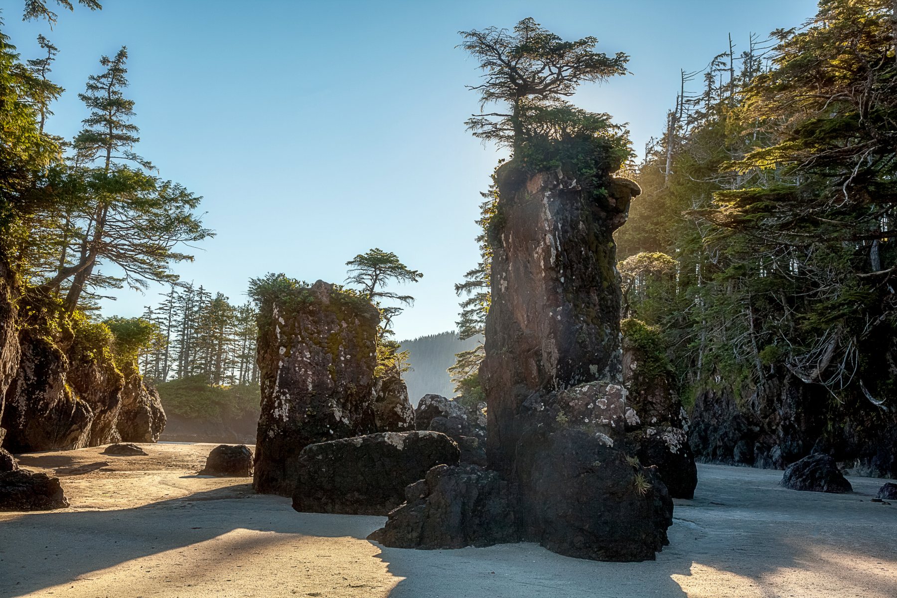 West Coast Landscapes
